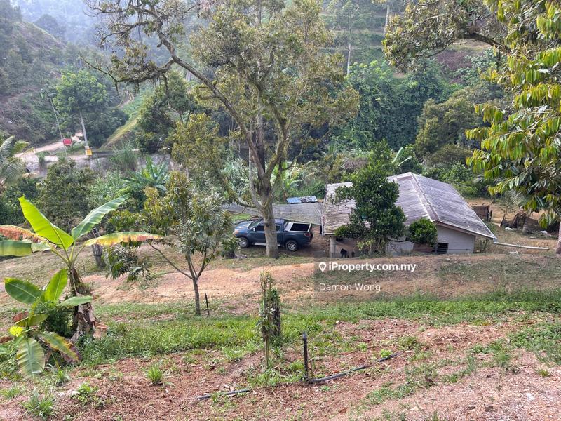 Tanah Pertanian untuk Dijual di Sungai Chetang, Raub oleh Damon Wong - iProperty.com.my