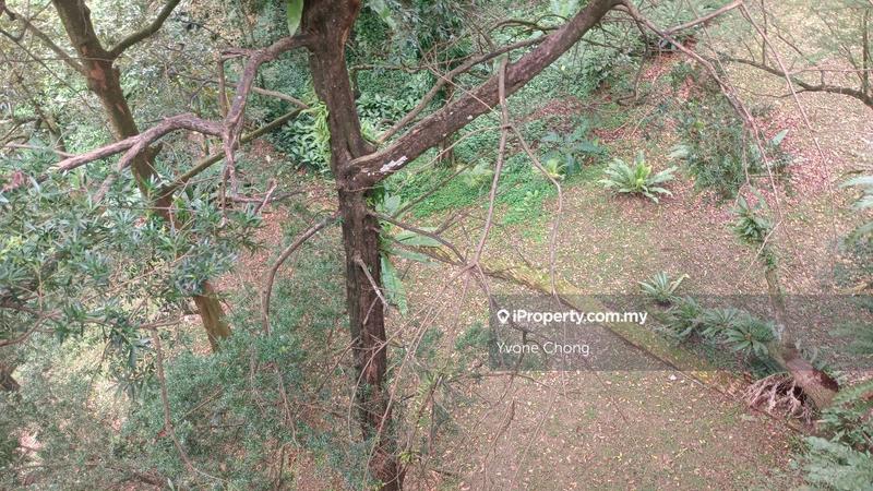 Banglo untuk Disewa di Bukit Tunku (Kenny Hills), Kuala Lumpur oleh Yvone Chong - iProperty.com.my