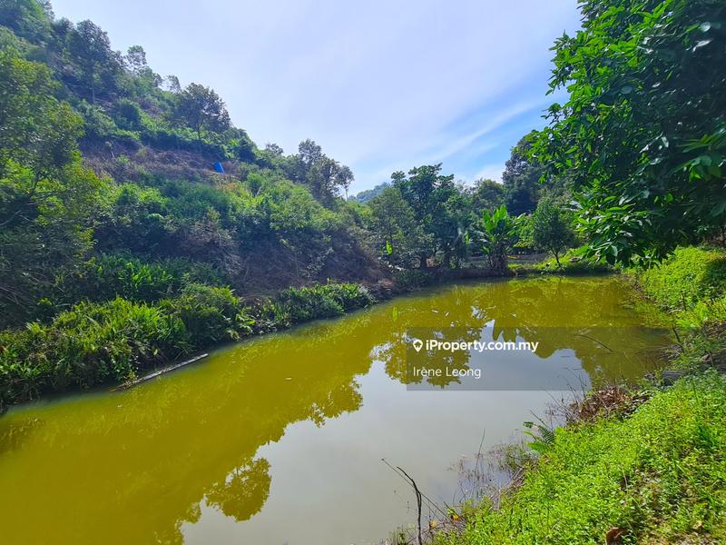 Agricultural Land for Sale in Bentong, Pahang by Irene Leong - iProperty.com.my