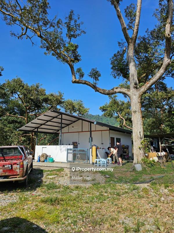 For Sale - Durian Farm at Bentong Pahang for Sale