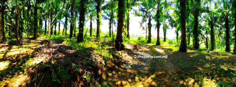 Tanah Pertanian untuk Dijual di Kuala Kubu Bharu, Kerling, (6 Acres), Kerling oleh Mr Chai - iProperty.com.my