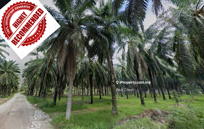 For Sale - 3 acre Industry Land For Sale In Ijok.