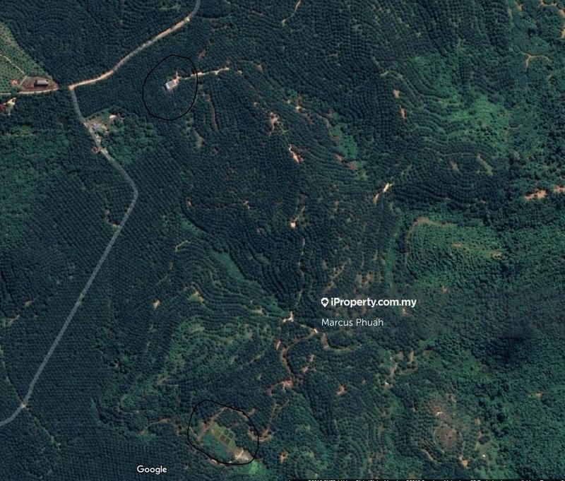 For Sale - Palm oil plantation at Kulim