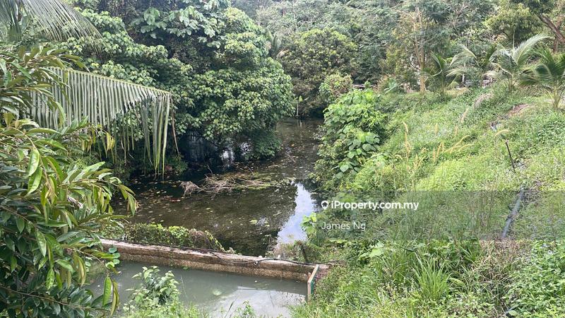 Agricultural Land for Sale in Raub, Raub by James Ng - iProperty.com.my