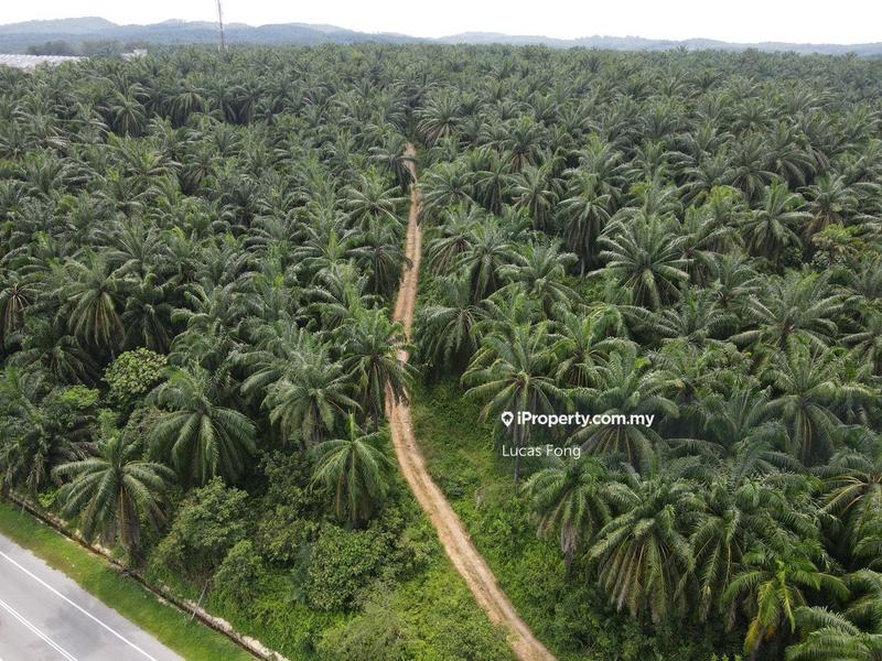 Tanah Pertanian untuk Dijual di Batu Gajah 73acres Main Road Potentially Land, Batu Gajah oleh Lucas Fong - iProperty.com.my