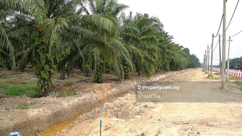 For Sale - 5 Acres Agriculture Land Corner Main Road Ijok Kepong Kuala Selangor