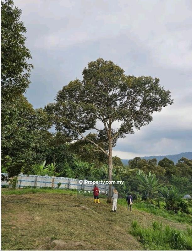 Agricultural Land for Sale in Hulu Langat, Selangor by Carene Chng - iProperty.com.my