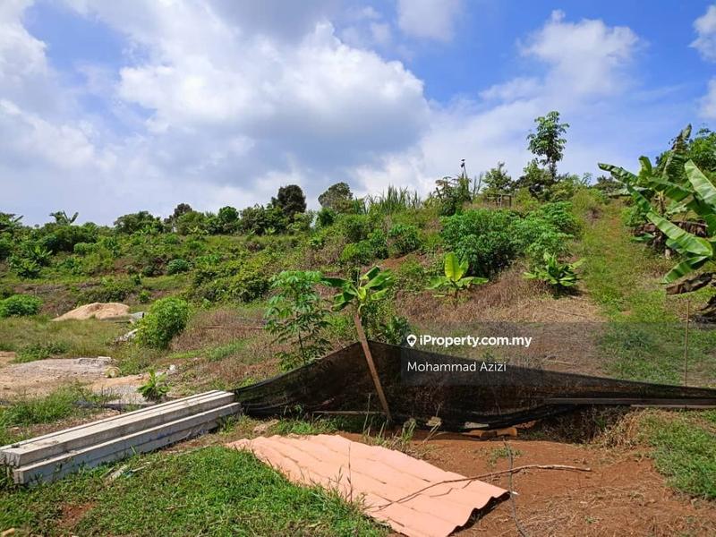 Agricultural Land for Sale in Balok, Sungai Karang by Mohammad Azizi - iProperty.com.my