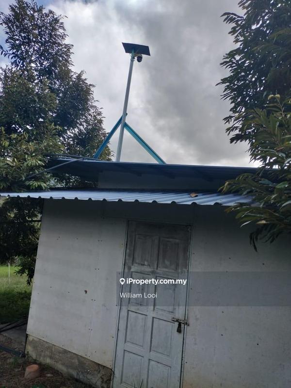 Agricultural Land for Sale in Sungai Ruan, Raub by William Looi - iProperty.com.my