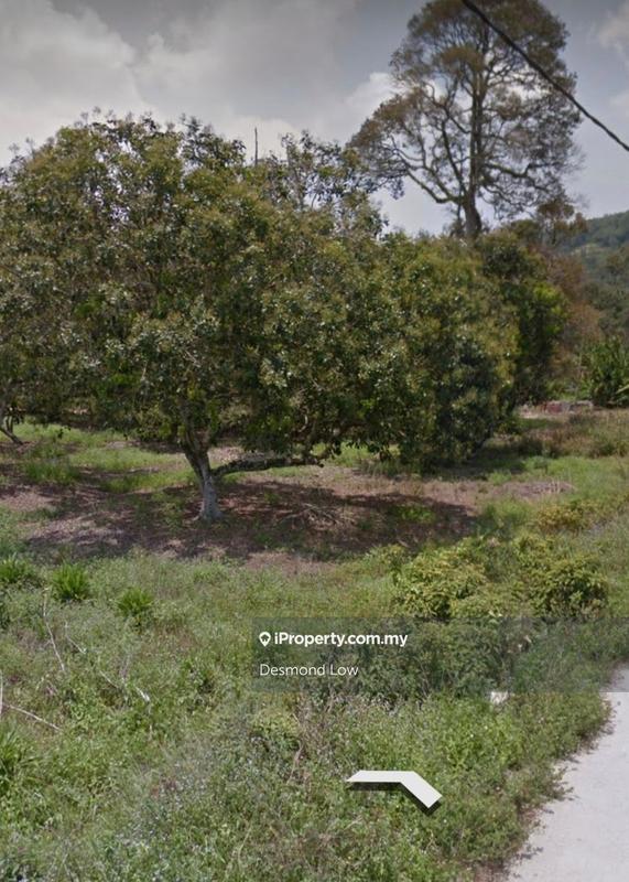Tanah Pertanian untuk Dijual di First Grade Flat Land ,1.5 Acres, Sungai Bakap, Sungai Jawi oleh Desmond Low - iProperty.com.my