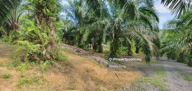 Tanah Pertanian untuk Dijual di Banting, Banting oleh Sheila Ong - iProperty.com.my