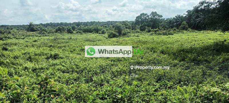 Industrial Land for Sale in x95qz, Ijok by Chai - iProperty.com.my