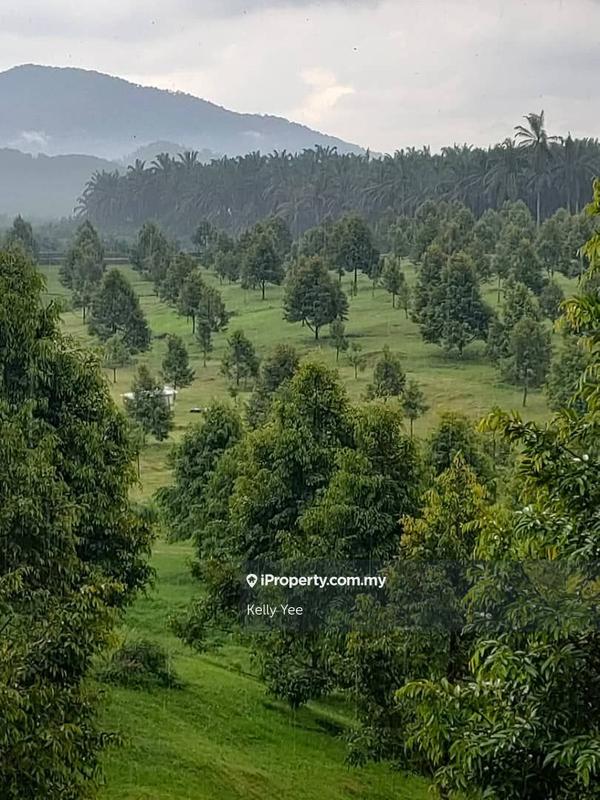 Tanah Pertanian untuk Dijual di Kampung Sungai Terap, Serdang oleh Kelly Yee - iProperty.com.my