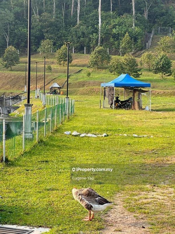 Agricultural Land for Sale in Serendah, Rawang by Eugene Yap - iProperty.com.my