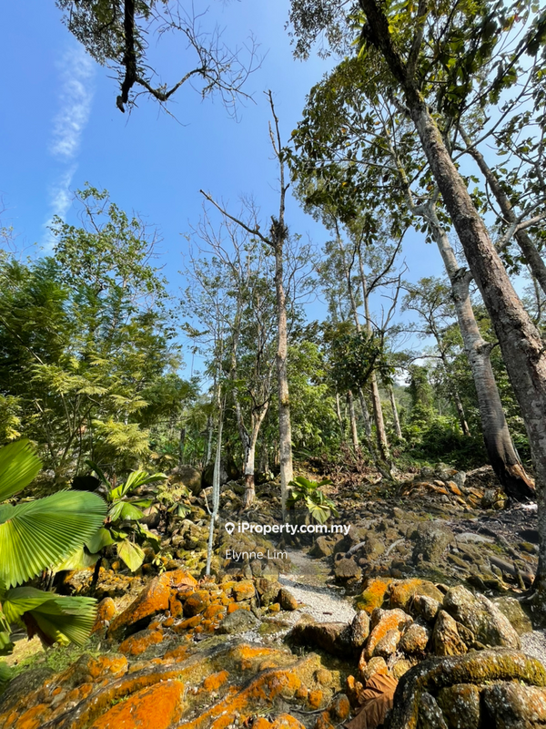 Agricultural Land for Sale in Broga, Lenggeng by Elynne Lim - iProperty.com.my