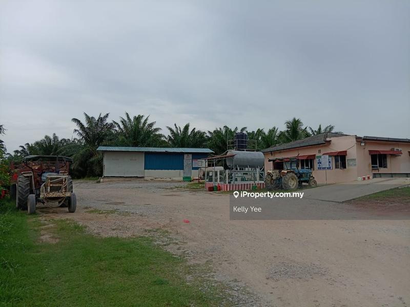 Tanah Pertanian untuk Dijual di Palm Oil Plantation @ Teluk Intan for Sale, Teluk Intan oleh Kelly Yee - iProperty.com.my