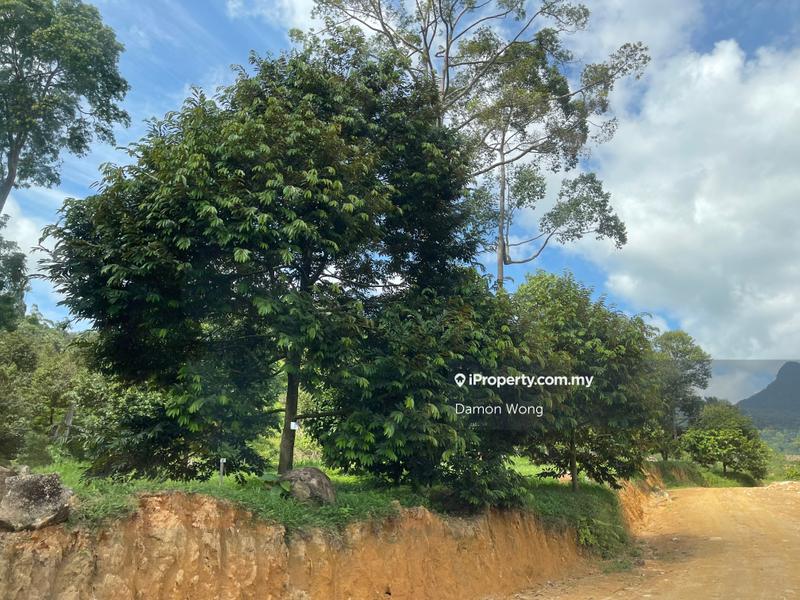 Agricultural Land for Sale in Karak, Bentong by Damon Wong - iProperty.com.my