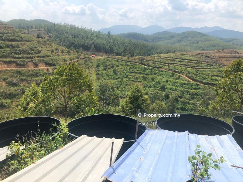 Tanah Pertanian untuk Dijual di Titi, Titi oleh Marie CLP - iProperty.com.my