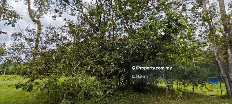 Agricultural Land for Sale in Batang Kali, Selangor by Iz Hakim - iProperty.com.my