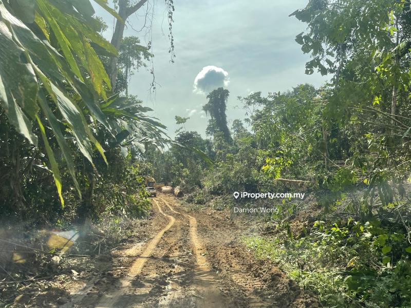 Agricultural Land for Sale in Mempaga, Bentong by Damon Wong - iProperty.com.my