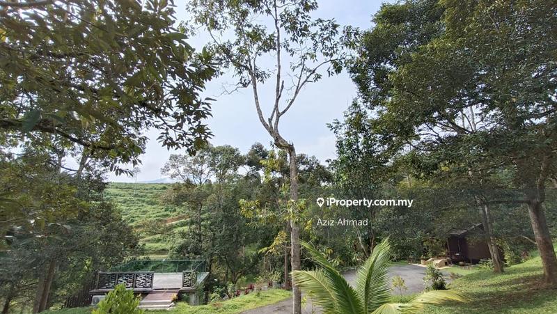 Agricultural Land for Sale in Taman Jelebu, Kuala Klawang by Aziz Ahmad - iProperty.com.my