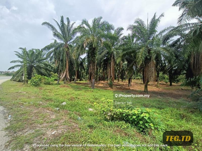 Tanah Pertanian untuk Dijual di Olak Lempit, Kampong Bukit Changgang, Banting oleh Darren Tan - iProperty.com.my