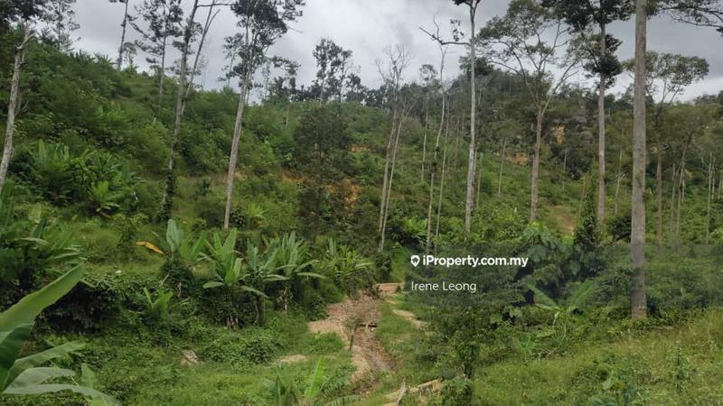 For Sale - 11 acres Karak (Near The Valley) Durian Land For Sale