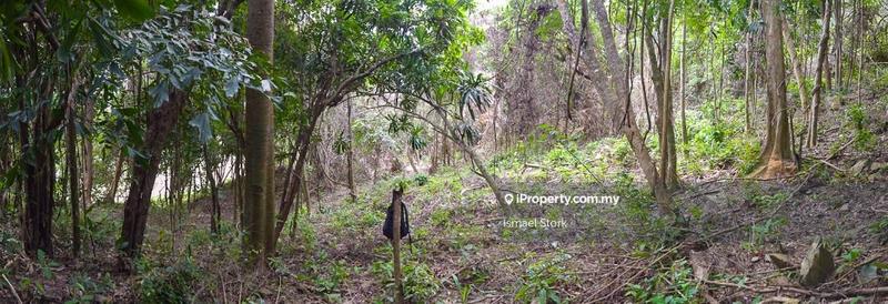 Agricultural Land for Sale in Langkawi, Kuah by Ismael Stork - iProperty.com.my
