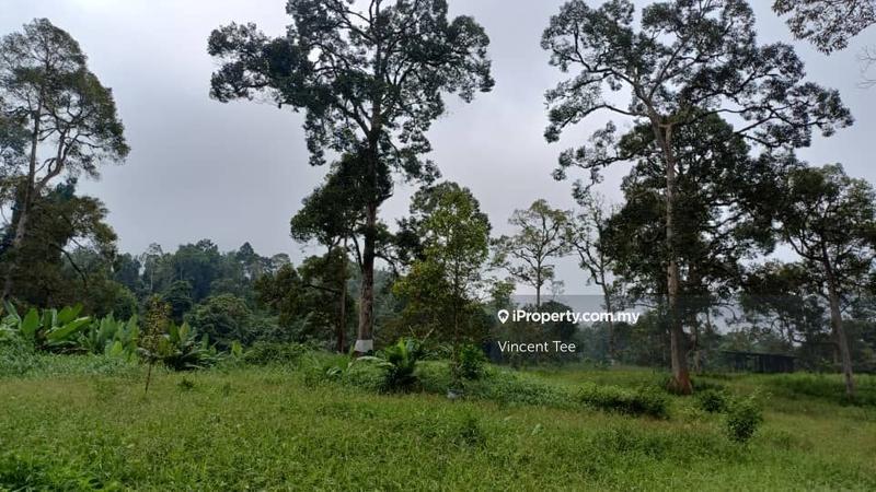 For Sale - 2.15 Acres Freehold Durian Farm Next to River Kuala Lipis