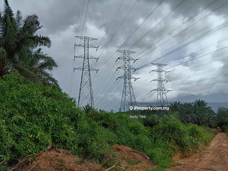 Agricultural Land for Sale in Palm Oil Plantation Along Jalan Kulim - Baling, Kulim by Kelly Yee - iProperty.com.my