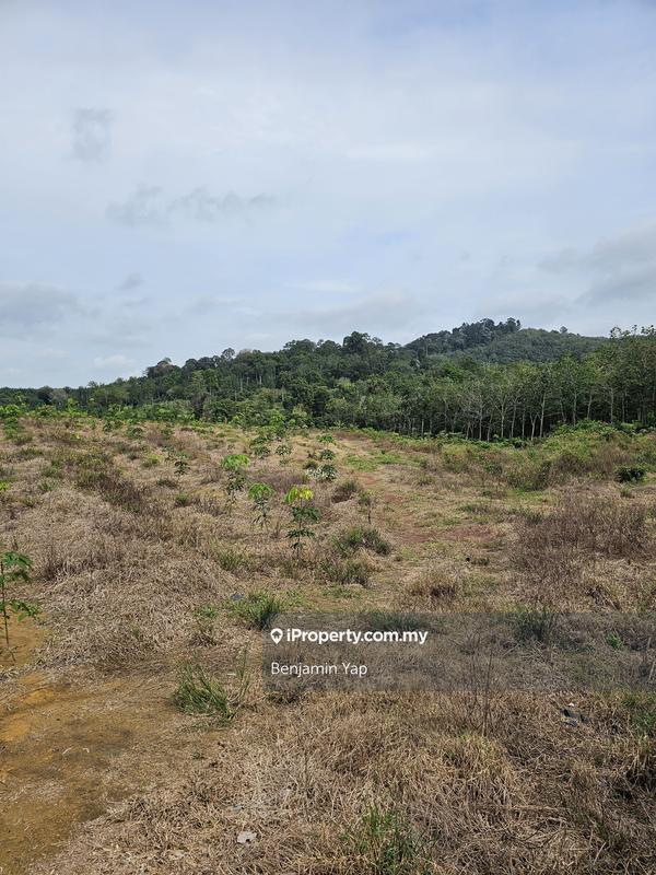 Tanah Pertanian untuk Dijual di Selandar, Selandar oleh Benjamin Yap - iProperty.com.my