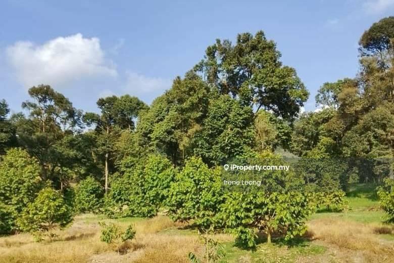 Agricultural Land for Sale in Karak, Pahang by Irene Leong - Garden - iProperty.com.my
