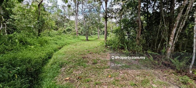 Agricultural Land for Sale in Batang Kali, Selangor by Iz Hakim - iProperty.com.my