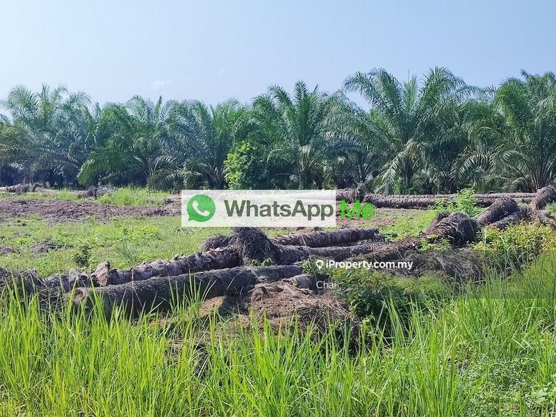 Tanah Perindustrian untuk Dijual di Kuala Langat, Dengkil oleh Chai - iProperty.com.my
