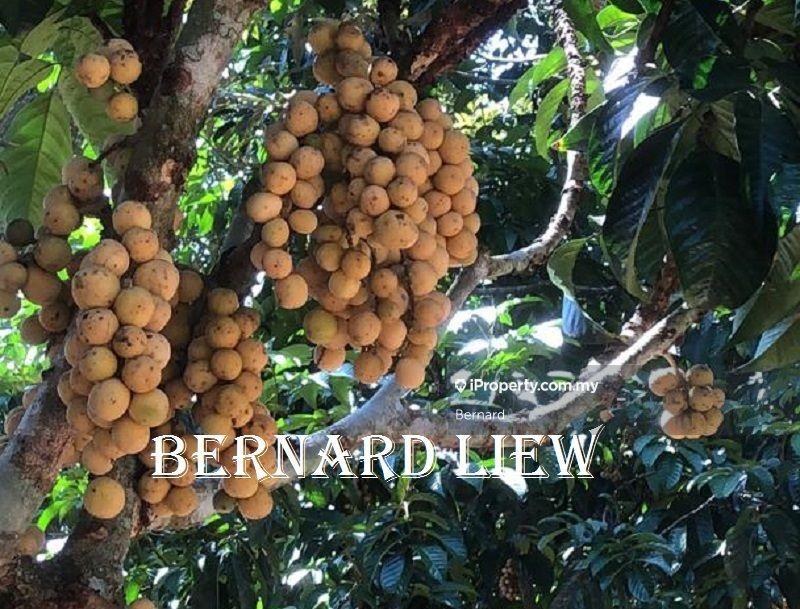 Tanah Pertanian untuk Dijual di Gurun, Kedah oleh Bernard - iProperty.com.my