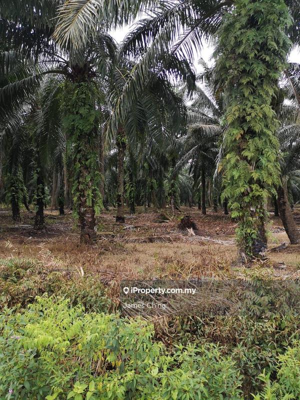 Tanah Perindustrian untuk Dijual di Serendah, Rawang oleh James Ch'ng - iProperty.com.my