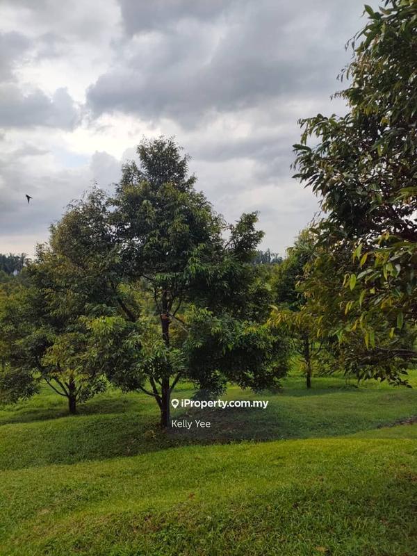 Tanah Pertanian untuk Dijual di Kampung Sungai Terap, Serdang oleh Kelly Yee - iProperty.com.my