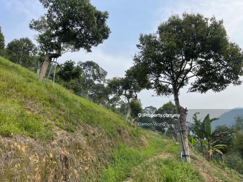 Tanah Pertanian untuk Dijual di Sungai Chetang, Raub oleh Damon Wong - iProperty.com.my