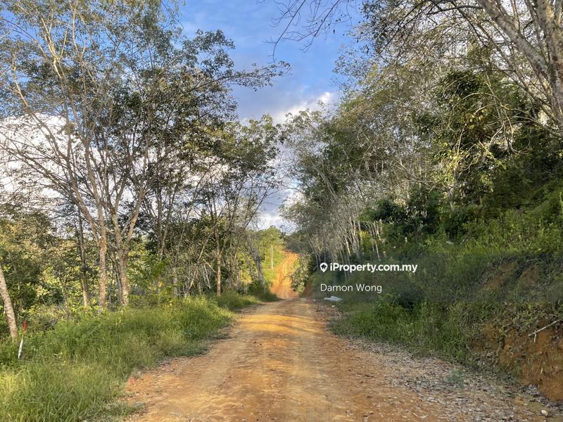 Tanah Pertanian untuk Dijual di Dong, Raub oleh Damon Wong - iProperty.com.my