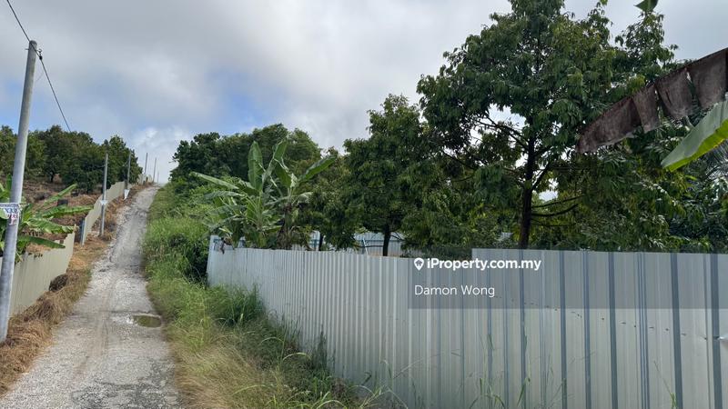 Agricultural Land for Sale in Sungai Ruan, Gali by Damon Wong - iProperty.com.my