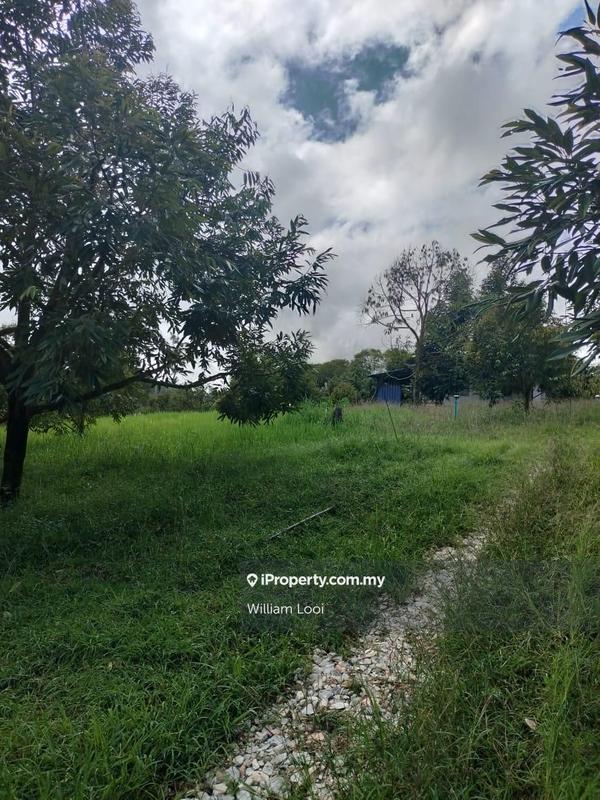 Agricultural Land for Sale in Sungai Ruan, Raub by William Looi - iProperty.com.my