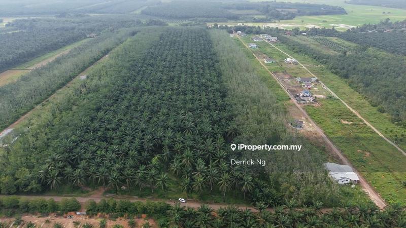 Agricultural Land for Sale in Taman Melor, Pendang by Derrick Ng - iProperty.com.my