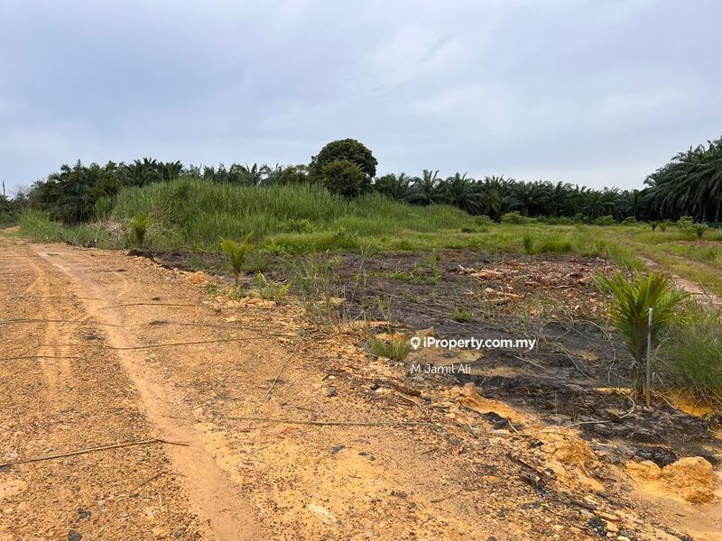 Agricultural Land for Sale in Kampung Pulau Penarek Sg Mati, Tangkak by M Jamil Ali - iProperty.com.my