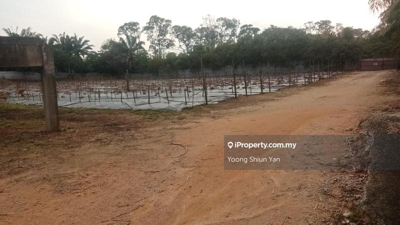 Agricultural Land for Sale in Parit Melana, Alor Gajah by Yoong Shiun Yan - iProperty.com.my