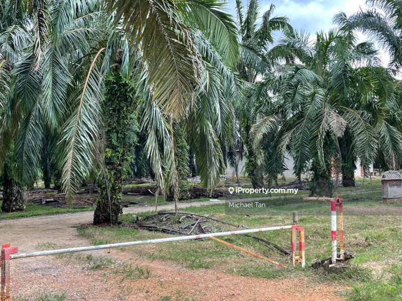 Tanah Pertanian untuk Dijual di Selama, Perak oleh Michael Tan - iProperty.com.my
