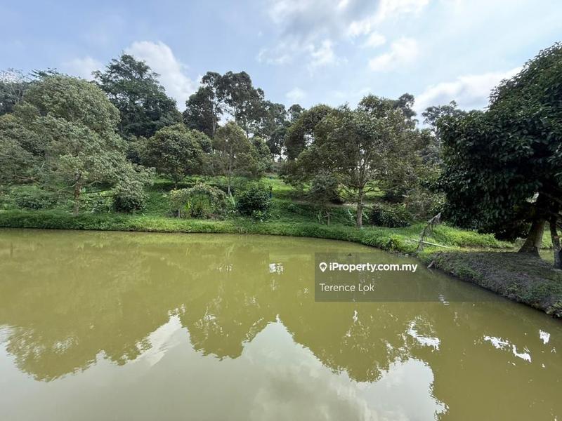 Tanah Pertanian untuk Dijual di Hosapa, Titi oleh Terence Lok - iProperty.com.my