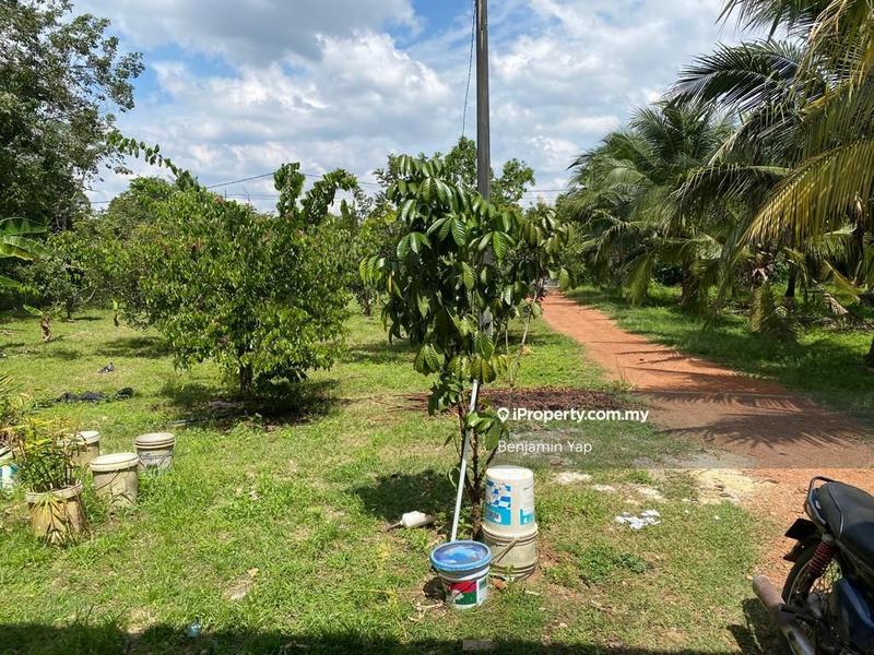 Agricultural Land for Sale in Panchor, Durian Tunggal by Benjamin Yap - iProperty.com.my