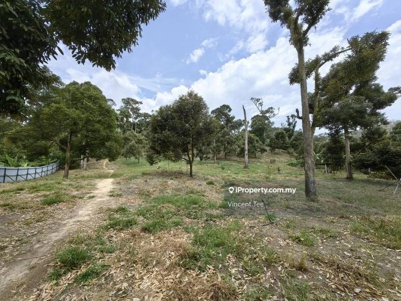 Tanah Pertanian untuk Dijual di Cheroh, Raub oleh Vincent Tee - iProperty.com.my