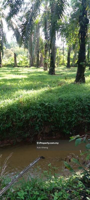 Agricultural Land for Sale in Taman Melaka Pindah, Alor Gajah by Kok Kheng - iProperty.com.my