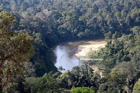 Agricultural Land for Sale in Primary Rain Forest Land in Ulu Tembeling for Sale, Jerantut by Kelly Yee - iProperty.com.my